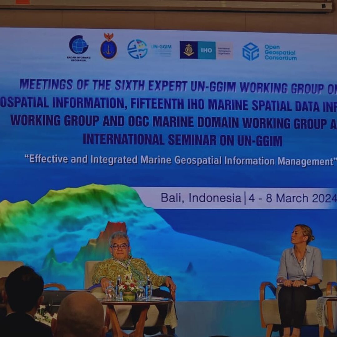 International Seminar on United Nations Global Geospatial Information Management